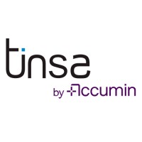 TINSA Spain logo - Similar company to Eco Engineering Solutions