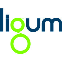 LIGUM CZ logo - Similar company to Ligum Pl
