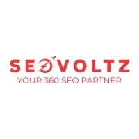 SEOVoltz logo - Similar company to Dotinverse
