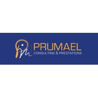 Prumaël Consulting et Prestations logo - Similar company to Gehant : Formation - Coaching - Team Building - Conseil - Conduite Du Changement