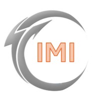 Intentional Management logo - Similar company to Audit Associates