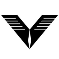 Vibes Base Enterprises Incorporation logo - Similar company to Digitbridge