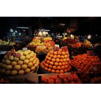 ViraFruits (Iranian Fruits) logo - Similar company to Zerma Fresh