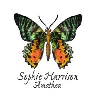 Amathea Studio Ltd. logo - Similar company to Lujo Collective