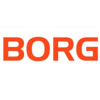 BORG ARGENTINA logo - Similar company to Ecofield Argentina