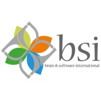 Brain & Software International - BSI logo - Similar company to Allsoftware