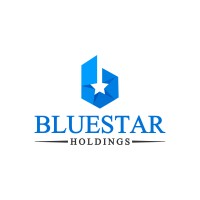 Bluestar Holdings logo - Similar company to Mako Industries