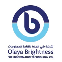 OLAYA BRIGHTNESS FOR INFORMATION TECHNOLOGY logo - Similar company to Logix Erp Solutions