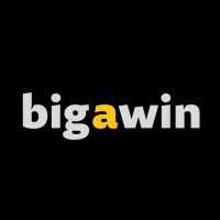 bigawin ag logo - Similar company to Progress Personal Ag