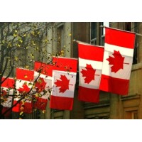 CIC CANADA logo - Similar company to Ecdf Coop Ca