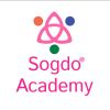 Sogdo Academy logo - Similar company to Onlion