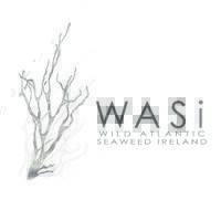 WASI logo - Similar company to Wasi Organics