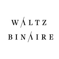 Waltz Binaire logo - Similar company to Encoded.Studio
