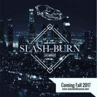 Slash and Burn Co logo - Similar company to Slash Boutique