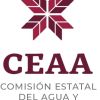 Comisión Estatal del Agua y Alcantarillado logo - Similar company to Cespm