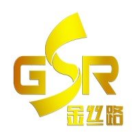 Henan GSR Network Technology Co., Ltd. logo - Similar company to Gsr Technology
