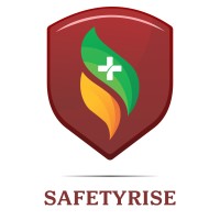 SafetyRise India logo - Similar company to Mithila Institutes