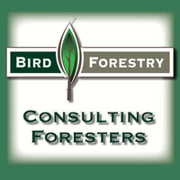 Bird Forestry logo - Similar company to Mesa Conservation District