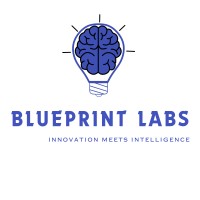 Blueprint Labs logo - Similar company to Blueprint Labs