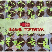 Ferma de Legume Topraisar logo - Similar company to Cooperativa Agricolă De Producție Drobeta