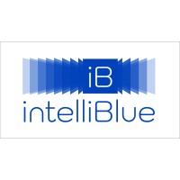 intelliBlue logo - Similar company to Intelliblue Tech Solutions