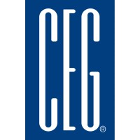 The Consulting Engineers Group-Nm, P.C.