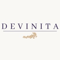 Devinita logo - Similar company to Plotvis