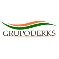 Grupo Derks logo - Similar company to Hitt Soluções Em Ti E Telecom
