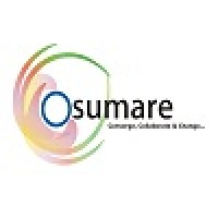 Osumare logo - Similar company to Brainmine Web Solutions Pvt Ltd