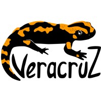 ASSOCIATION VERACRUZ logo - Similar company to Déterreminés