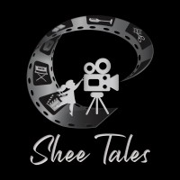 Shee Tales Entertainment PVT LTD logo - Similar company to The Filmy Joint