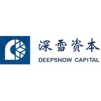 Deepsnow Capital logo - Similar company to Medbio Capital