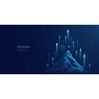 Peak Performance Growth logo - Similar company to Thrive Spark Game