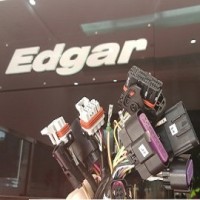 Edgar Auto Wire Harnesses Ltd (HongKong) logo - Similar company to Gallgallo