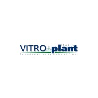 Vitroplant Italia Srl - Società Agricola logo - Similar company to Vitroplant Sa