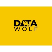DataWolf logo - Similar company to Rocketlead
