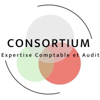 CONSORTIUM Expertise Comptable et Audit logo - Similar company to Plan A, Inc.