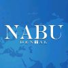 Nabu Dental logo - Similar company to Idsa - Iraqi Dental Students Association
