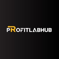 Profitlabhub logo - Similar company to 5&5 Studios 株式会社