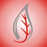 Papyrus Digital Solutions logo - Similar company to Pay Connect Sa