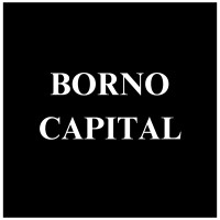 Borno Capital Partners logo - Similar company to Slightedge Partners