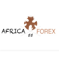 AFRICA FOREX 55 logo - Similar company to Neftalem Consulting
