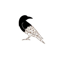 Ravenspirit Media Pvt. Ltd. logo - Similar company to Lxedge