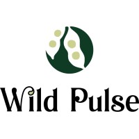 Wild Pulse logo - Similar company to Mood Studios Ag