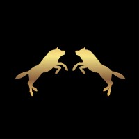 CryptoCeleste logo - Similar company to Citronity