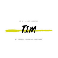 TIM consulting. logo - Similar company to Tim Consulting