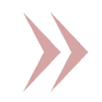Elder Ventures logo - Similar company to Spreecast