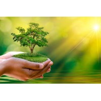 Leaf Financial Advisers Ltd. logo - Similar company to Frazer James