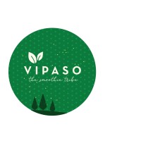 Vipaso logo - Similar company to Vipaso – Vienna Payment Solutions
