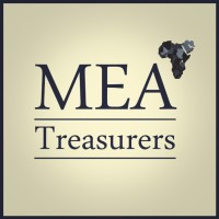 MEA Treasurers logo - Similar company to Leanup, Llc